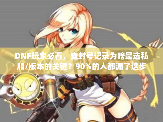 DNF玩家必看，查封号记录为啥是选私服/版本的关键？90%的人都漏了这步