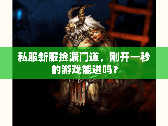 私服新服捡漏门道，刚开一秒的游戏能进吗？