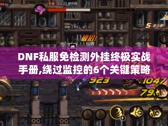 DNF私服免检测外挂终极实战手册,绕过监控的6个关键策略