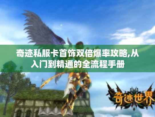 奇迹私服卡首饰双倍爆率攻略,从入门到精通的全流程手册 奇迹私服卡首饰双倍爆率攻略,从入门到精通的全流程手册