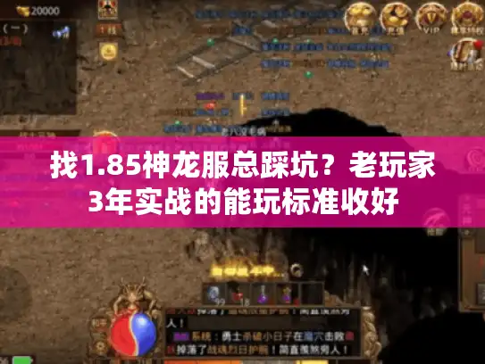 找1.85神龙服总踩坑？老玩家3年实战的能玩标准收好