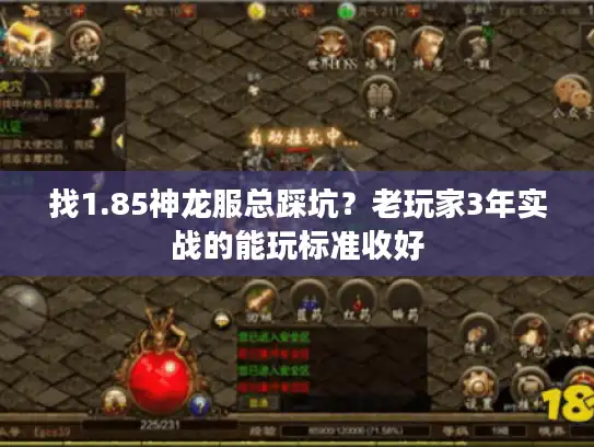找1.85神龙服总踩坑？老玩家3年实战的能玩标准收好