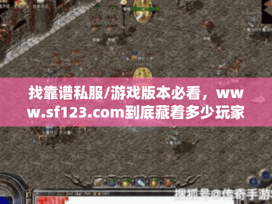 找靠谱私服/游戏版本必看，www.sf123.com到底藏着多少玩家没发现的冷门好服？