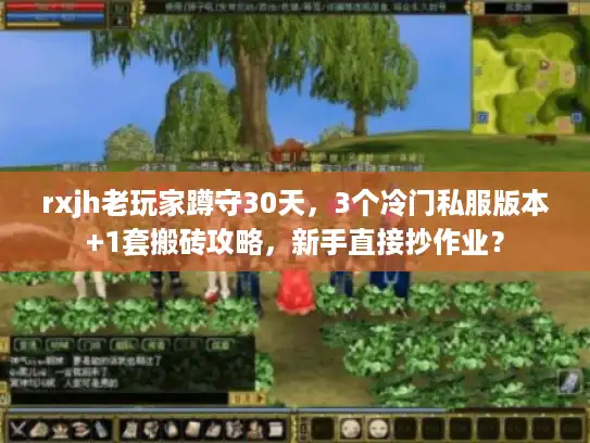 rxjh老玩家蹲守30天，3个冷门私服版本+1套搬砖攻略，新手直接抄作业？