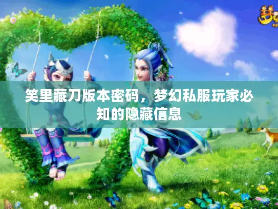 笑里藏刀版本密码，梦幻私服玩家必知的隐藏信息