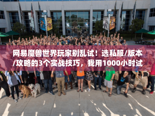 网易魔兽世界玩家别乱试!选私服/版本/攻略的3个实战技巧,我用1000小时试错换的 网易魔兽世界玩家别乱试!选私服/版本/攻略的3个实战技巧,我用1000小时试错换的