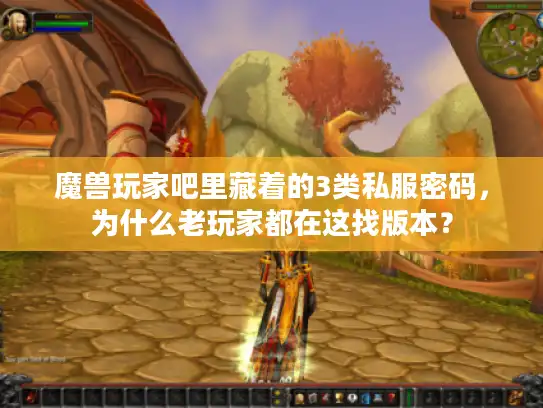 魔兽玩家吧里藏着的3类私服密码，为什么老玩家都在这找版本？