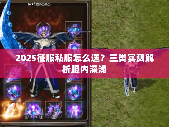 2025征服私服怎么选?三类实测解析服内深浅 2025征服私服怎么选?三类实测解析服内深浅