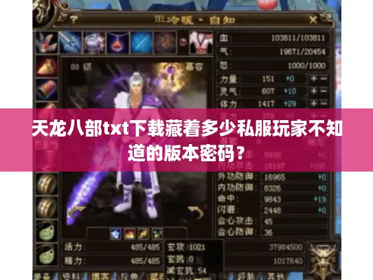 天龙八部txt下载藏着多少私服玩家不知道的版本密码？