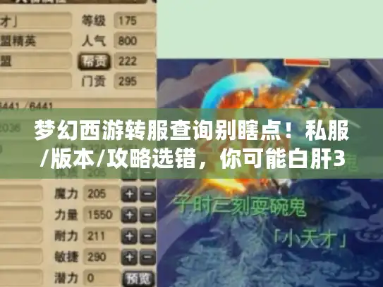 梦幻西游转服查询别瞎点！私服/版本/攻略选错，你可能白肝3个月