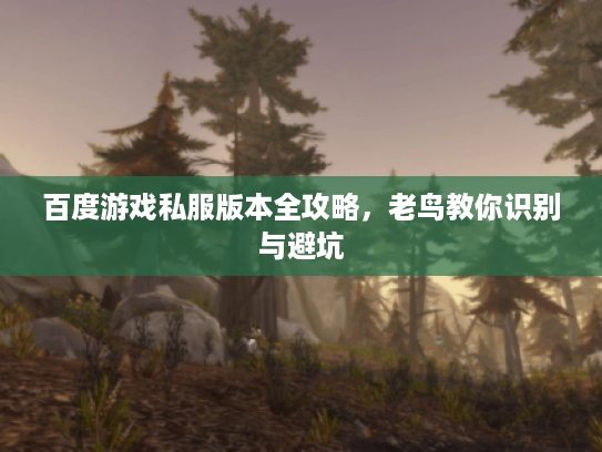 百度游戏私服版本全攻略,老鸟教你识别与避坑 百度游戏私服版本全攻略,老鸟教你识别与避坑