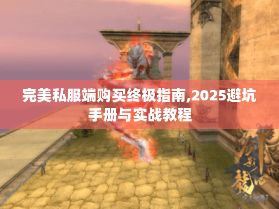 完美私服端购买终极指南,2025避坑手册与实战教程
