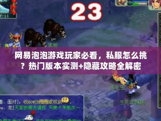 网易泡泡游戏玩家必看，私服怎么挑？热门版本实测+隐藏攻略全解密