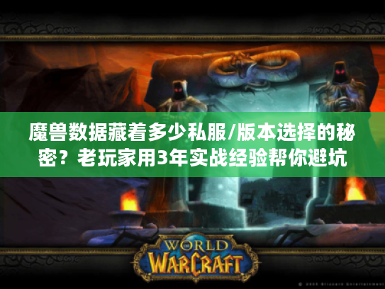 魔兽数据藏着多少私服/版本选择的秘密？老玩家用3年实战经验帮你避坑