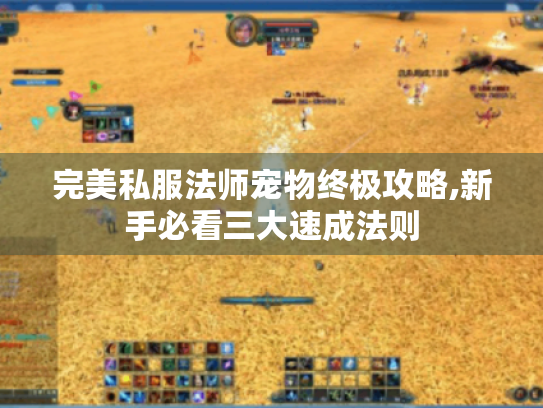 完美私服法师宠物终极攻略,新手必看三大速成法则 完美私服法师宠物终极攻略,新手必看三大速成法则