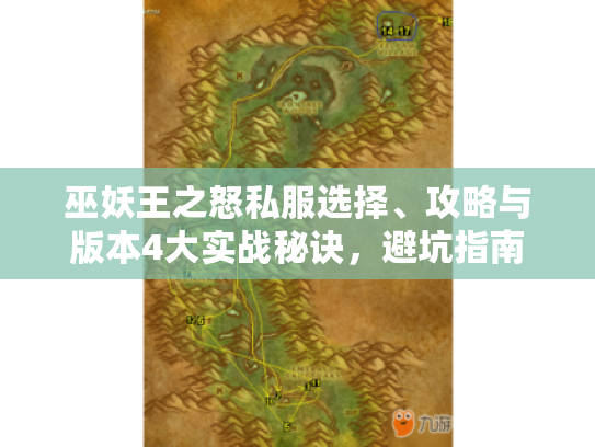 巫妖王之怒私服选择、攻略与版本4大实战秘诀，避坑指南