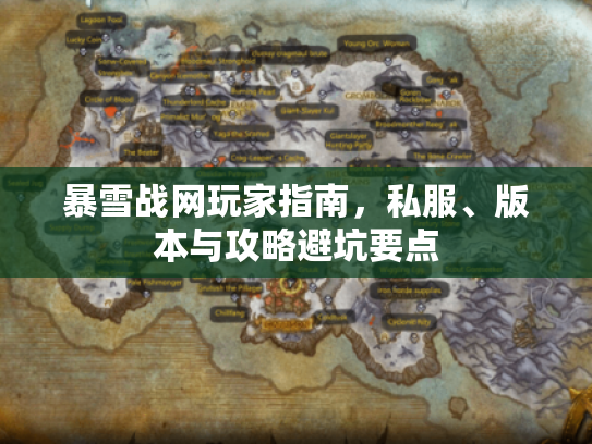 暴雪战网玩家指南，私服、版本与攻略避坑要点