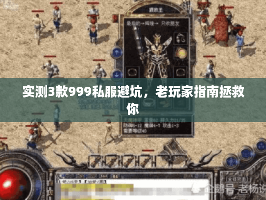 实测3款999私服避坑，老玩家指南拯救你