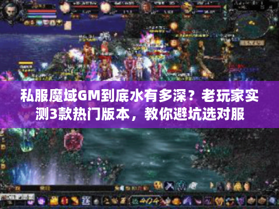 私服魔域GM到底水有多深?老玩家实测3款热门版本,教你避坑选对服 私服魔域GM到底水有多深?老玩家实测3款热门版本,教你避坑选对服