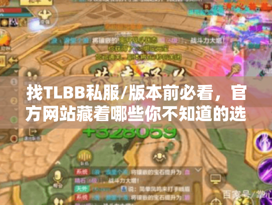 找TLBB私服/版本前必看，官方网站藏着哪些你不知道的选服门道？