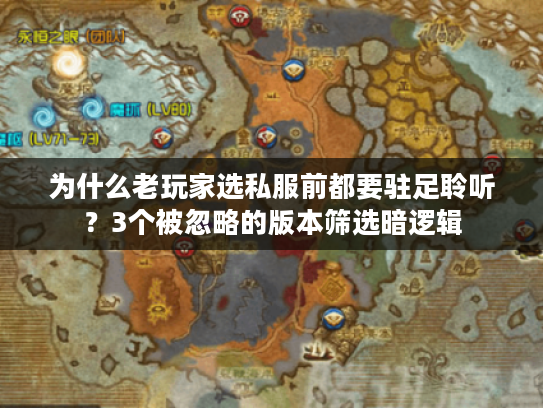 为什么老玩家选私服前都要驻足聆听?3个被忽略的版本筛选暗逻辑 为什么老玩家选私服前都要驻足聆听?3个被忽略的版本筛选暗逻辑