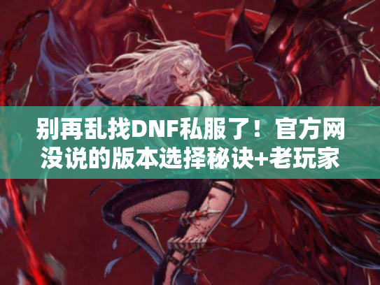 别再乱找DNF私服了！官方网没说的版本选择秘诀+老玩家实测好用攻略