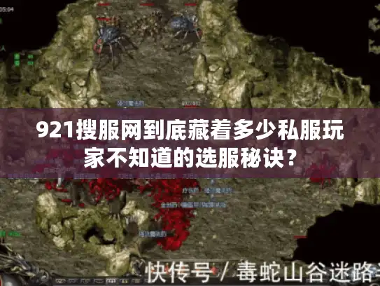 921搜服网到底藏着多少私服玩家不知道的选服秘诀？