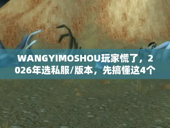 WANGYIMOSHOU玩家慌了，2026年选私服/版本，先搞懂这4个没人说的真相