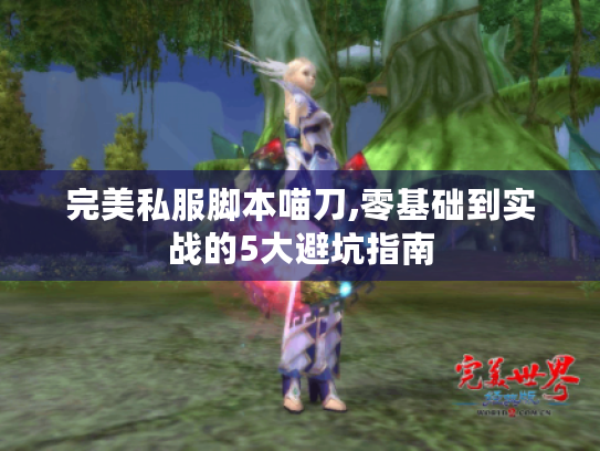 完美私服脚本喵刀,零基础到实战的5大避坑指南 完美私服脚本喵刀,零基础到实战的5大避坑指南