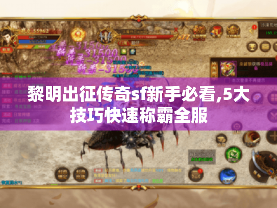 黎明出征传奇sf新手必看,5大技巧快速称霸全服 黎明出征传奇sf新手必看,5大技巧快速称霸全服