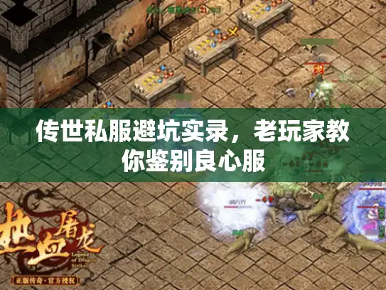传世私服避坑实录，老玩家教你鉴别良心服