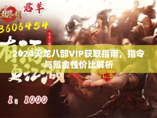 2024天龙八部VIP获取指南，指令与氪金性价比解析