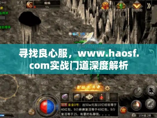寻找良心服，www.haosf.com实战门道深度解析