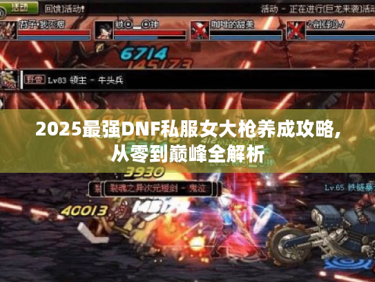 2025最强DNF私服女大枪养成攻略,从零到巅峰全解析 2025最强DNF私服女大枪养成攻略,从零到巅峰全解析