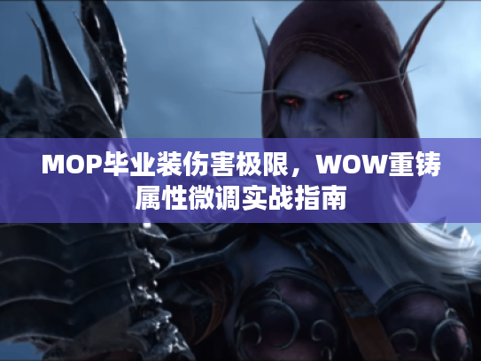 MOP毕业装伤害极限，WOW重铸属性微调实战指南