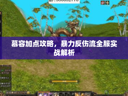 慕容加点攻略,暴力反伤流全服实战解析 慕容加点攻略,暴力反伤流全服实战解析