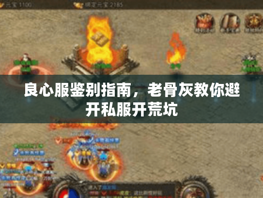 良心服鉴别指南，老骨灰教你避开私服开荒坑