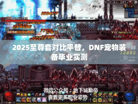2025至尊套对比平替，DNF宠物装备毕业实测