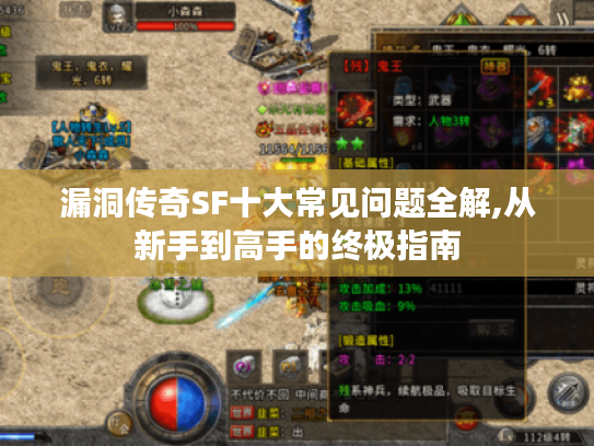 漏洞传奇SF十大常见问题全解,从新手到高手的终极指南 漏洞传奇SF十大常见问题全解,从新手到高手的终极指南