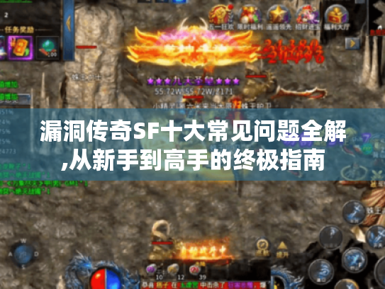 漏洞传奇SF十大常见问题全解,从新手到高手的终极指南 漏洞传奇SF十大常见问题全解,从新手到高手的终极指南
