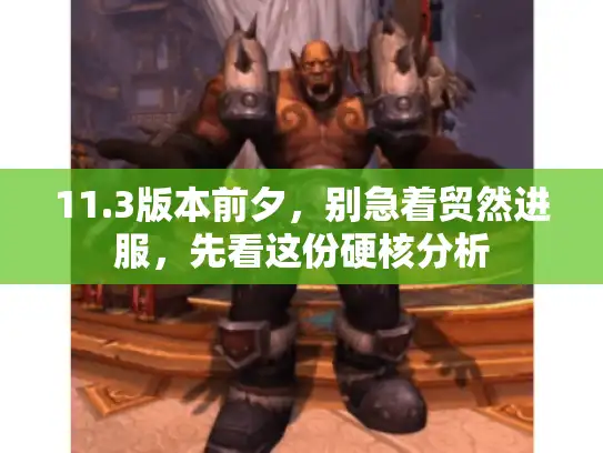 11.3版本前夕，别急着贸然进服，先看这份硬核分析
