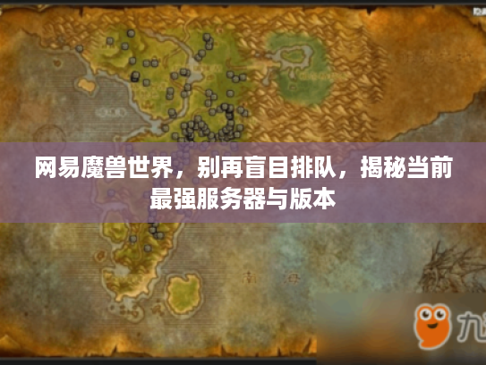 网易魔兽世界，别再盲目排队，揭秘当前最强服务器与版本