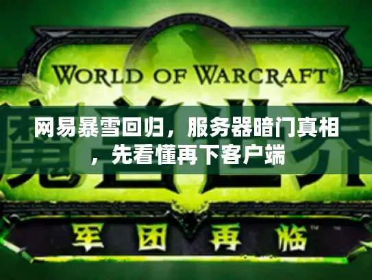 网易暴雪回归，服务器暗门真相，先看懂再下客户端