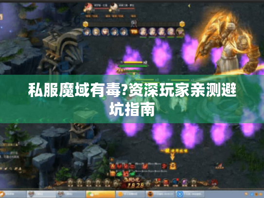 私服魔域有毒?资深玩家亲测避坑指南 私服魔域有毒?资深玩家亲测避坑指南