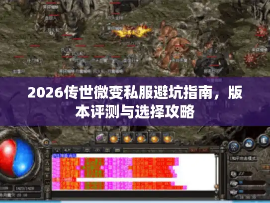 2026传世微变私服避坑指南，版本评测与选择攻略