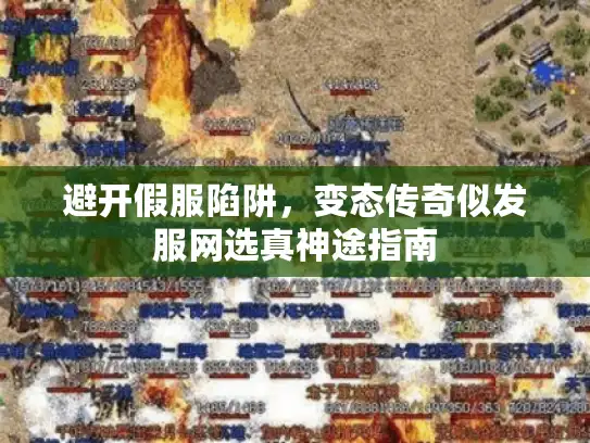 避开假服陷阱，变态传奇似发服网选真神途指南