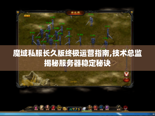 魔域私服长久版终极运营指南,技术总监揭秘服务器稳定秘诀 魔域私服长久版终极运营指南,技术总监揭秘服务器稳定秘诀