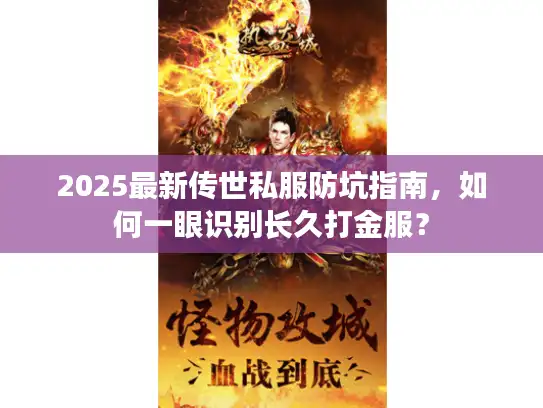 2025最新传世私服防坑指南，如何一眼识别长久打金服？