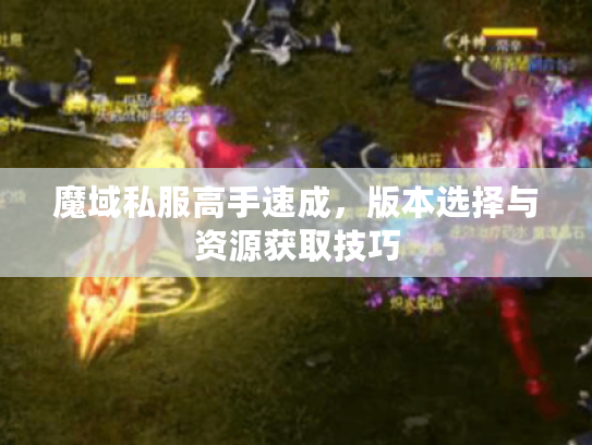 魔域私服高手速成，版本选择与资源获取技巧