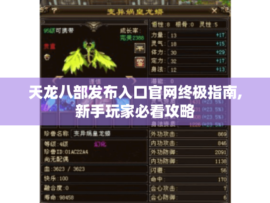 天龙八部发布入口官网终极指南,新手玩家必看攻略